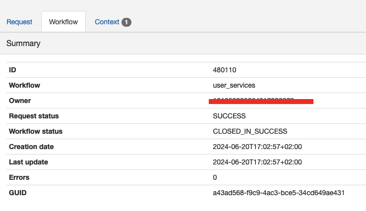 instance summary